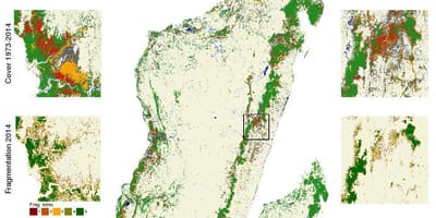 Mapa de la deforestación en Madagascar