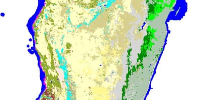 Mapa de Madagascar vegetación